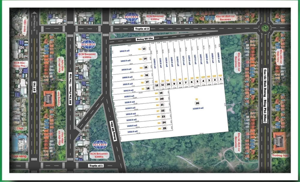 Khu đất này được rao bán trên mạng với tổng cộng 26 lô đất. Ảnh: Người dân cung cấp