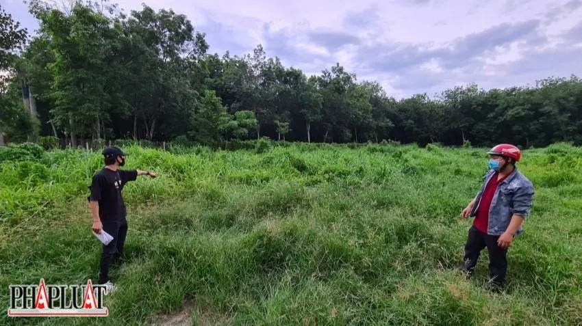 Khu đất nông nghiệp bị cáo Thanh tự vẽ dự án, thời điểm bị bắt vẫn chỉ là bãi đất trống. Ảnh: LÊ ÁNH