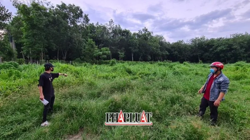 Khu đất hai bị cáo tự ý vẽ dự án. Ảnh: LÊ ÁNH