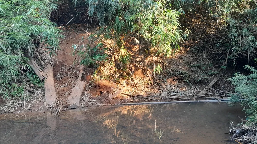 Dấu vết để lại cho thấy voi rừng đã qua địa phận khu bảo tồn tỉnh Đồng Nai. Dấu vết để lại cho thấy voi rừng đã qua địa phận khu bảo tồn tỉnh Đồng Nai.