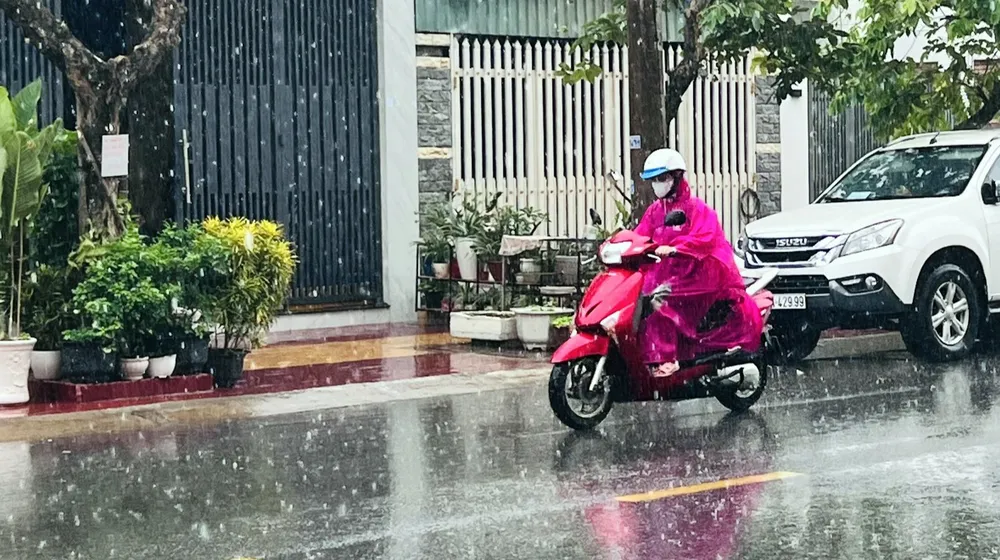 Đối với những người có thời gian làm việc ngoài trời nhiều thì cơn mưa này rất quý. Ảnh: LÊ ÁNH