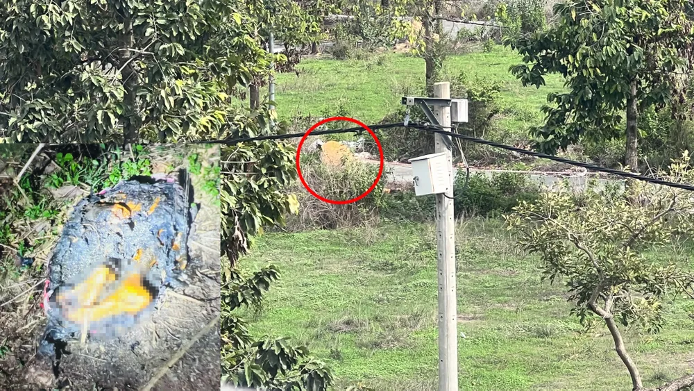 Kết quả giám định ADN cho kết quả nạn nhân là nam giới. Ảnh: LA