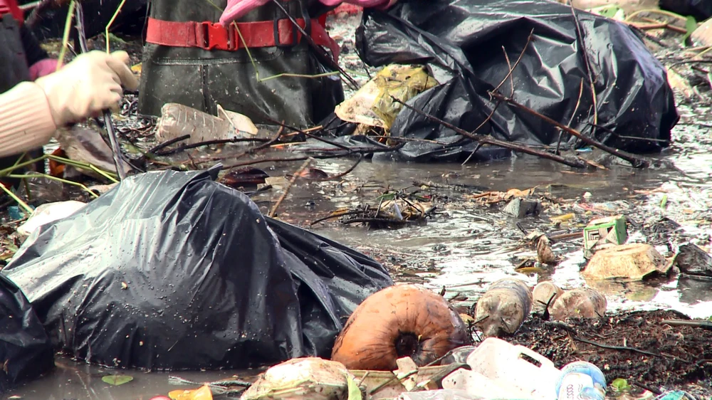 Các bạn trẻ trong nhóm Bình Dương xanh vẫn miệt mài vớt rác, dọn từng mảng cỏ giúp con kênh sạch sẽ, thông thoáng.