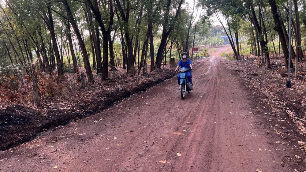 Giữa trung tâm TP nhưng thoạt nhìn tưởng đang ở nông thôn. Ảnh: LÊ ÁNH