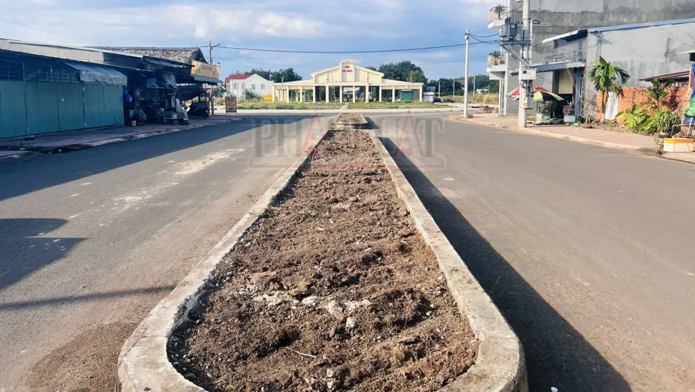 Chợ Tân Thành xây dựng hết 6 tỉ đồng nhưng lại bỏ hoang