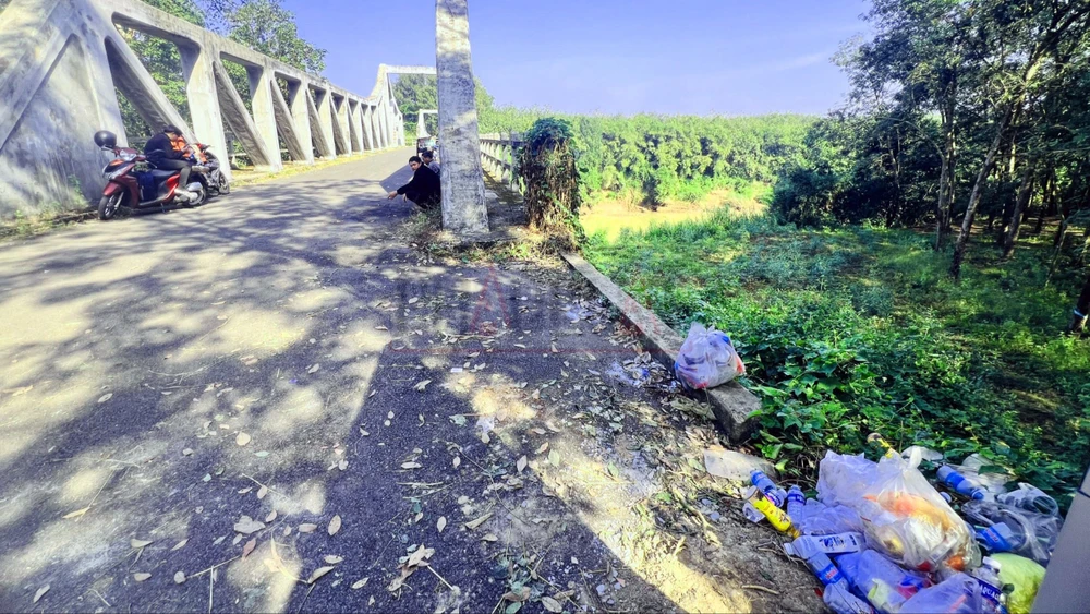 can-canh-cau-gay-o-binh-duong-cay-cau-nhieu-nguoi-chon-de-quyen-sinh (12).jpg