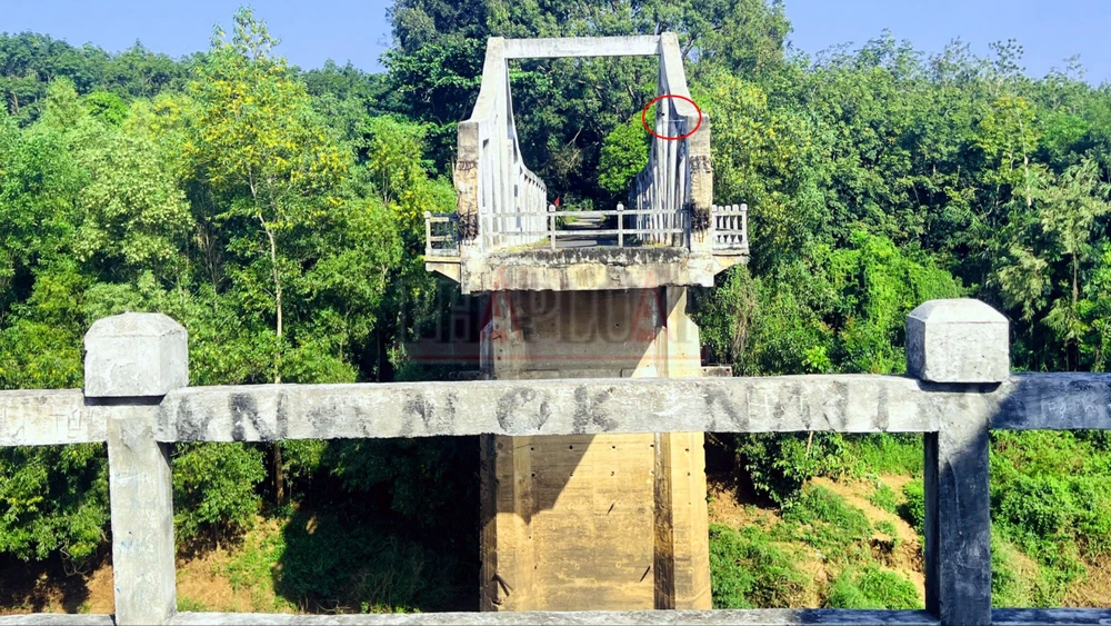 can-canh-cau-gay-o-binh-duong-cay-cau-nhieu-nguoi-chon-de-quyen-sinh (14).jpg