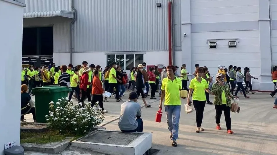 ngừng việc tập thể (1).jpg