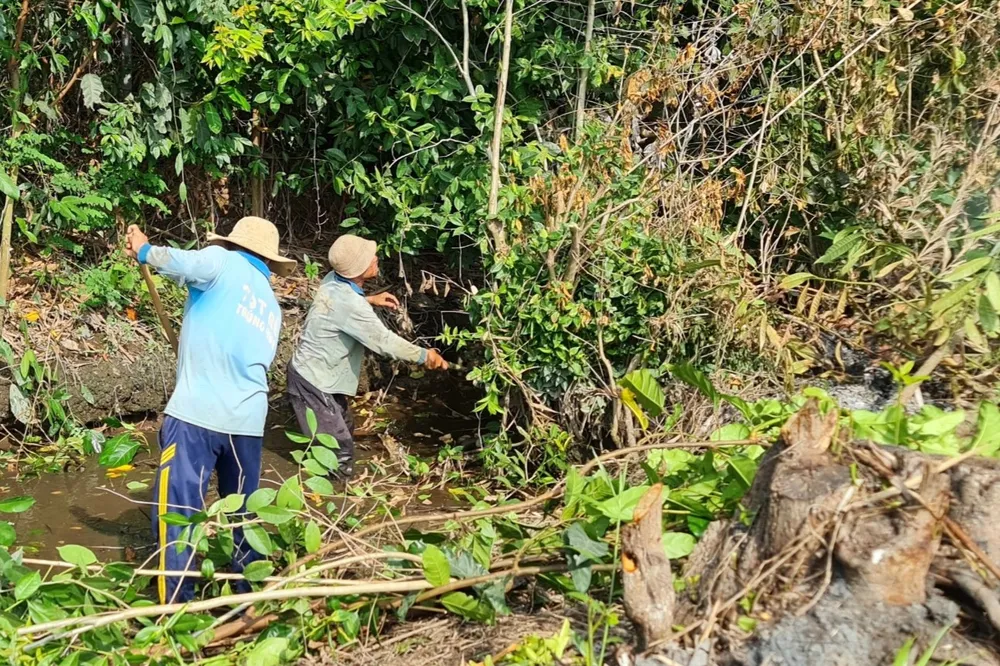 Các đơn vị cũng phối hợp phát quang bụi rậm, khơi thông dòng chảy. bình dương (8).jpg