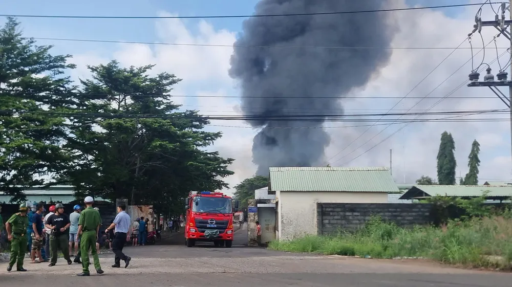 cháy công ty (1).jpg