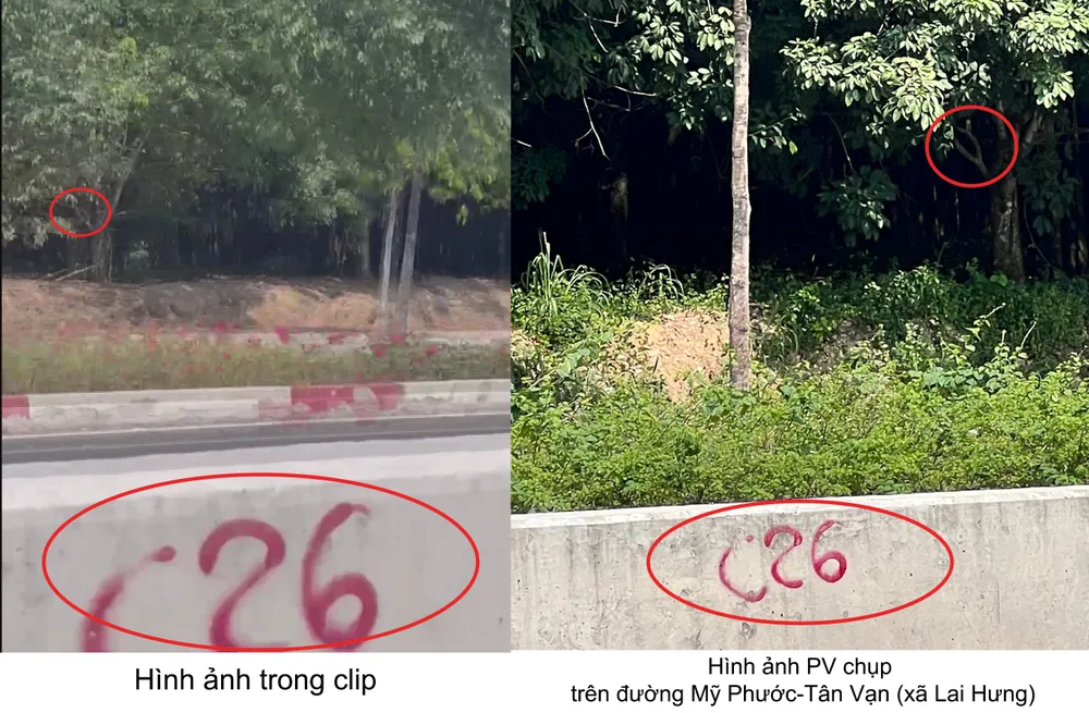 cô gái khỏa thân (7).jpg