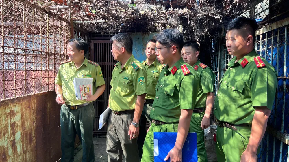 động vật (2).jpg