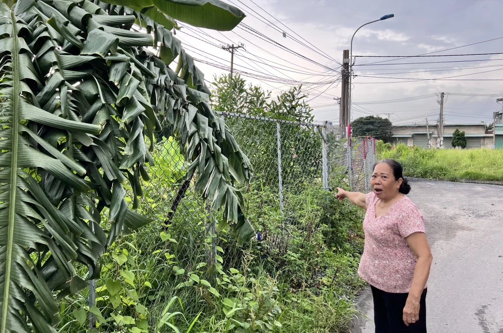 hai bản án (5).JPG