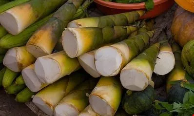 7/9 mẫu măng tươi có chất vàng ô dùng để sơn quét tường ảnh 1 7/9 mẫu măng tươi có chất vàng ô dùng để sơn quét tường ảnh 1