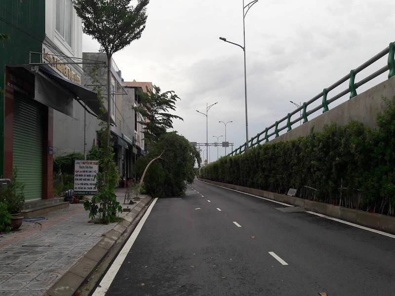 ây nhỏ vừa được trồng tại khu vực cầu vượt ngã ba Huế bị uốn cong