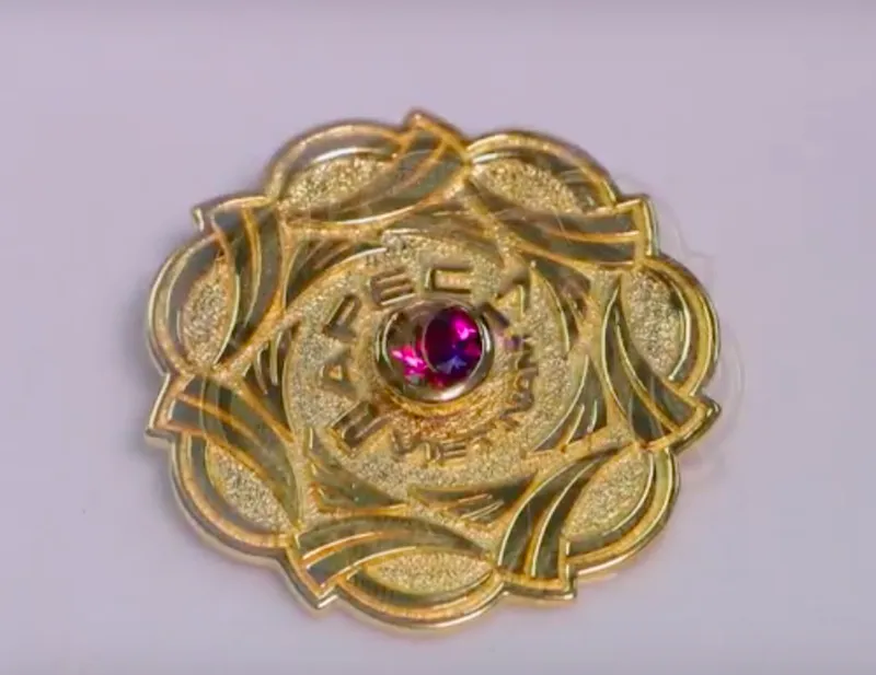 Giải mã các huy hiệu giành cho 21 lãnh đạo APEC 2017 ảnh 13