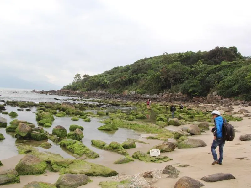 Báo cáo Thường trực Thành ủy Đà Nẵng về Nam Ô ảnh 1