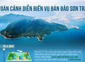 TTCP làm việc về các dự án ở bán đảo Sơn Trà ảnh 3 Vì sao thanh tra toàn diện các dự án Sơn Trà?