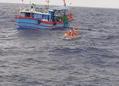 Ngư dân Quảng Ngãi cứu 32 người Trung Quốc ở Trường Sa
