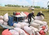 ĐBQH lên tiếng vụ mở tờ khai xuất khẩu gạo lúc 0 giờ ảnh 2 Nhiều bí ẩn về việc đăng ký xuất khẩu gạo lúc... nửa đêm
