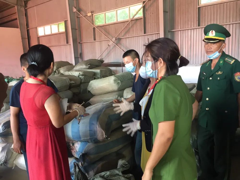 Nóng: 103 tấn dược liệu đội lốt củ cải nhập vào Đà Nẵng ảnh 2