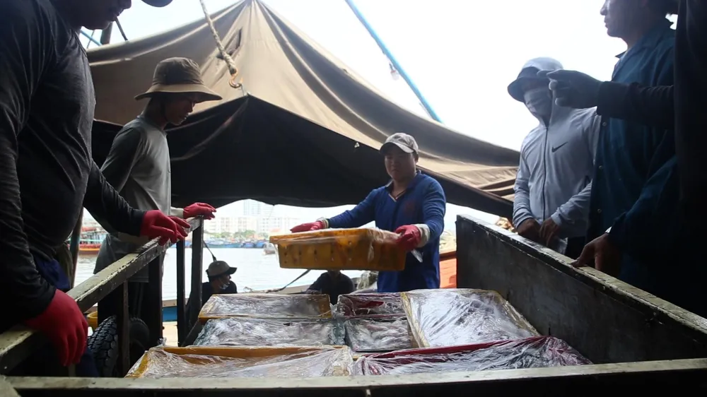 Nỗi lo hiện lên khuôn mặt từng ngư dân. Ảnh: NGÔ QUANG.