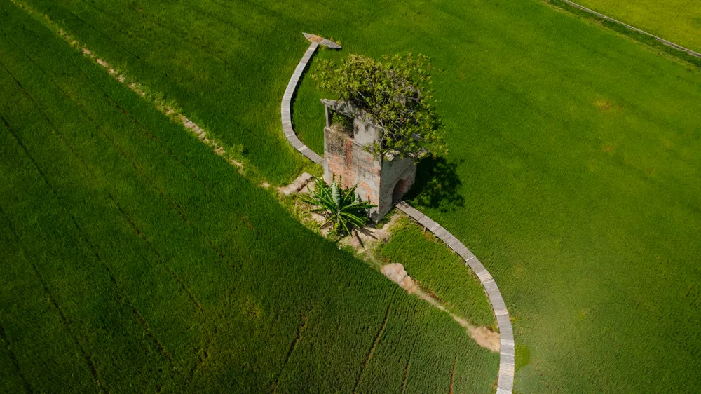 Điểm cuối con đường đi qua lò gạch cũ là chiếc thuyền nhỏ giữa cánh đồng. Ảnh: MINH TRƯỜNG.