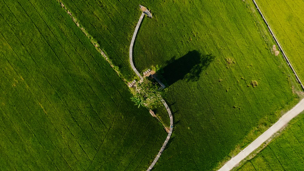 Nắng xế chiều, lò gạch cũ đổ bóng xuống bờ ruộng tạo thành khung cảnh nên thơ, bình dị. Ảnh: MINH TRƯỜNG.