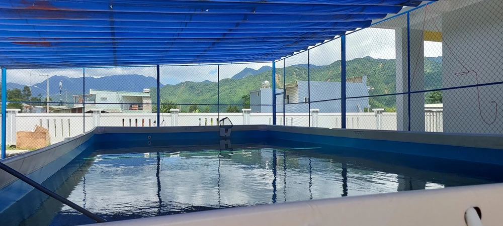 Đặc thù là xã có sông lớn đi qua, thường xuyên mưa lũ nên nhà trường đã xây dựng một bể bơi nhằm tập luyện cho các em kỹ năng bơi lội, tránh nguy cơ đuối nước mà trường cũ không có. Ảnh: MT