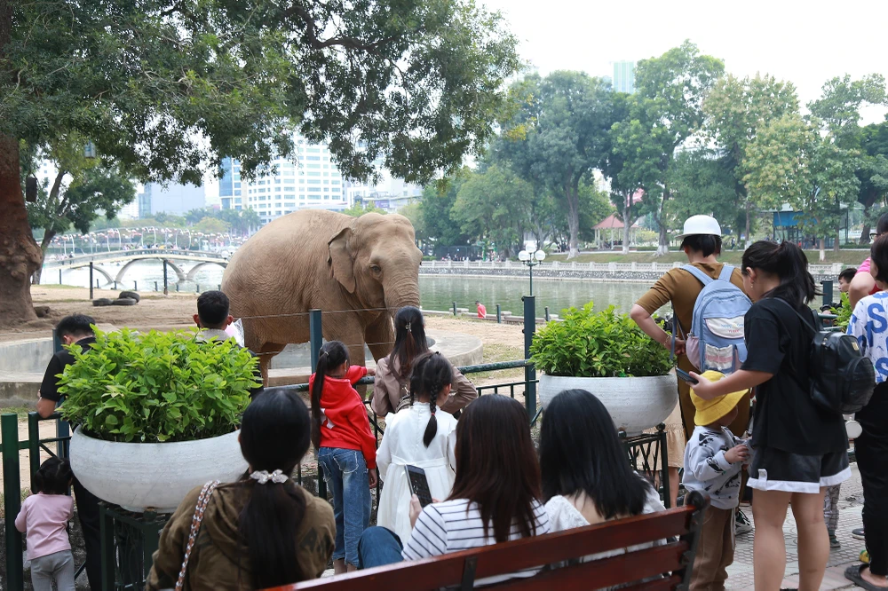Tết dương lịch 2024