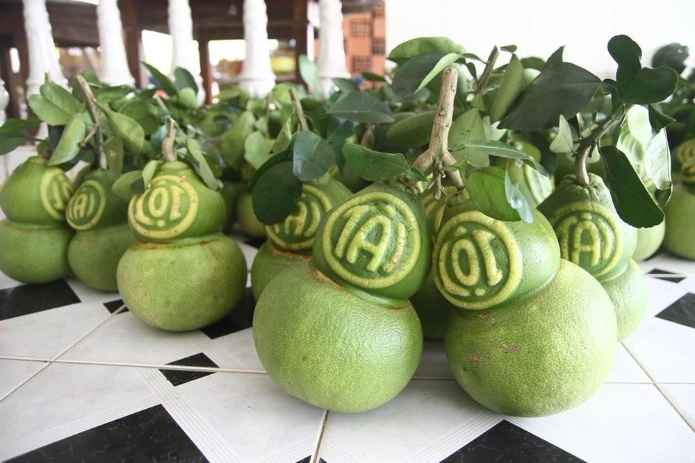 Bưởi hồ lô có 3 loại: hồ lô tài lộc truyền thống, hồ lô tài lộc đồng tiền và hồ lô tài lộc thư pháp.