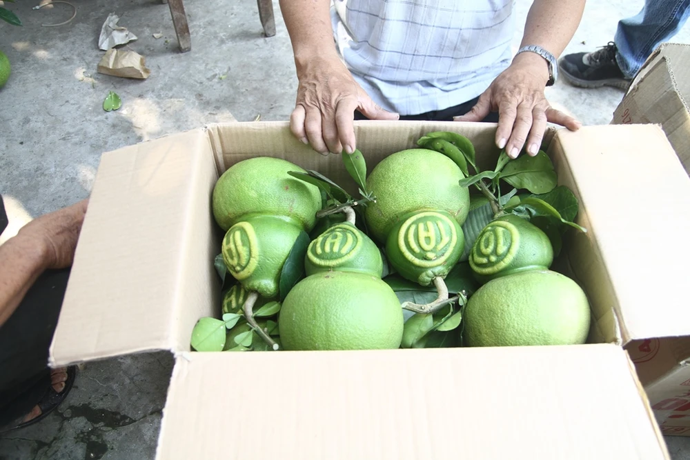 Do nguồn hàng khan hiếm nên từ tháng 9 nhiều khách hàng đã đổ xô về tranh mua