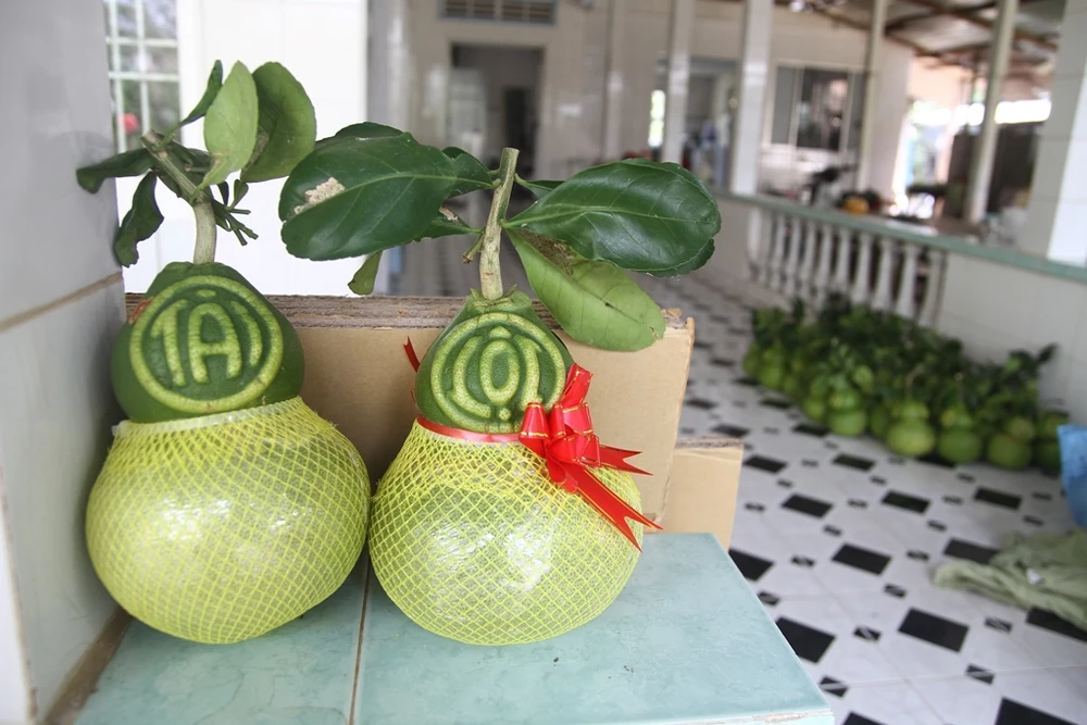 Mỗi trái bưởi hồ lô tạo hình có giá giao động từ 300.000 đồng đến 1,2 triệu đồng, tùy loại.