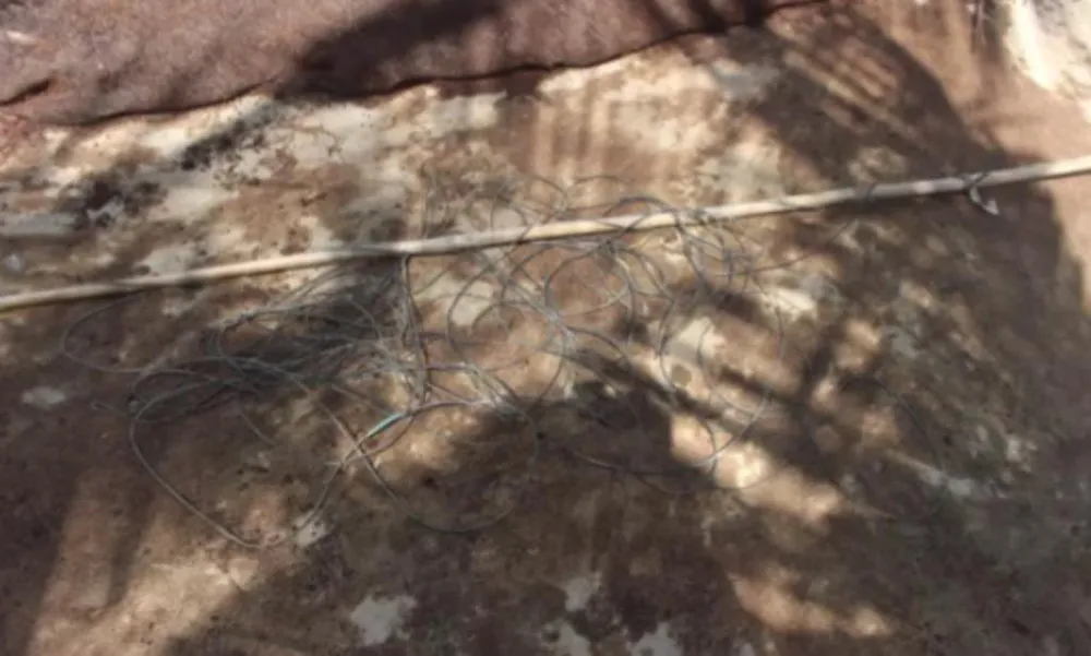 Thương tâm bé 13 tuổi bị điện giật tử vong dưới ao ảnh 1