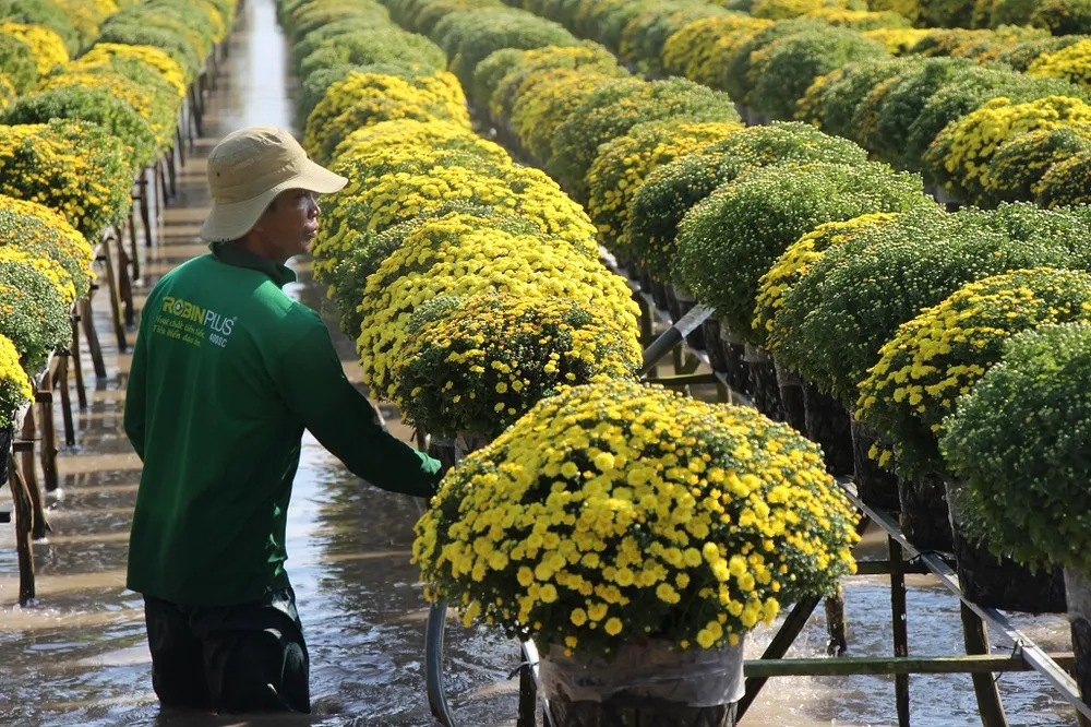 Du khách ồ ạt đổ về làng hoa Sa Đéc ngày cận Tết ảnh 12