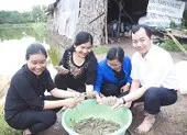 Bà Mai Thi bảo vệ thành công luận án Tiến sỹ ảnh 2 Chuyện bà Mai Thi ‘lên bờ xuống ruộng’