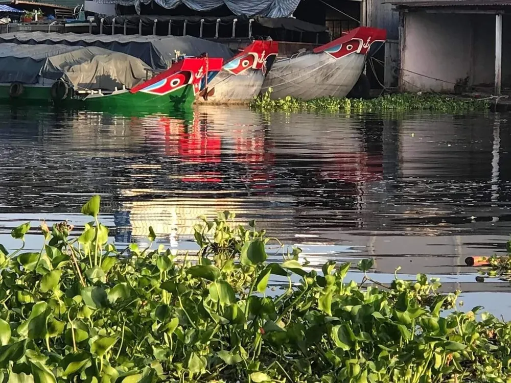 Bộ Tài nguyên và Môi trường vào cuộc vụ sông “đen” ở Hậu Giang ảnh 1
