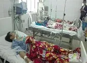 5 người đi cấp cứu sau khi ăn canh chua cá nóc