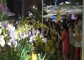Đường hoa xuân Cao Lãnh sắp diễn ra có gì hấp dẫn? ảnh 7 Cận cảnh đông đảo người đến xem đường hoa Canh Tý