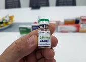 Vĩnh Long: Dự kiến tiêm vaccine COVID-19 cho hơn 5.000 người ảnh 1 Ngày mai, tiêm thử nghiệm vaccine COVID-19 đợt 2 cho 560 người