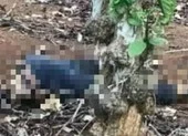 Vĩnh Long: Phát hiện thi thể 1 thanh niên trên ghe cát ảnh 2 Thi thể nam thanh niên không nguyên vẹn trong rẫy