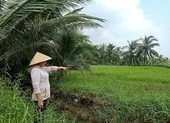 1 nữ Chấp hành viên ở Đồng Tháp bị khởi tố ảnh 1 Chấp hành viên làm sai, dân lãnh đủ