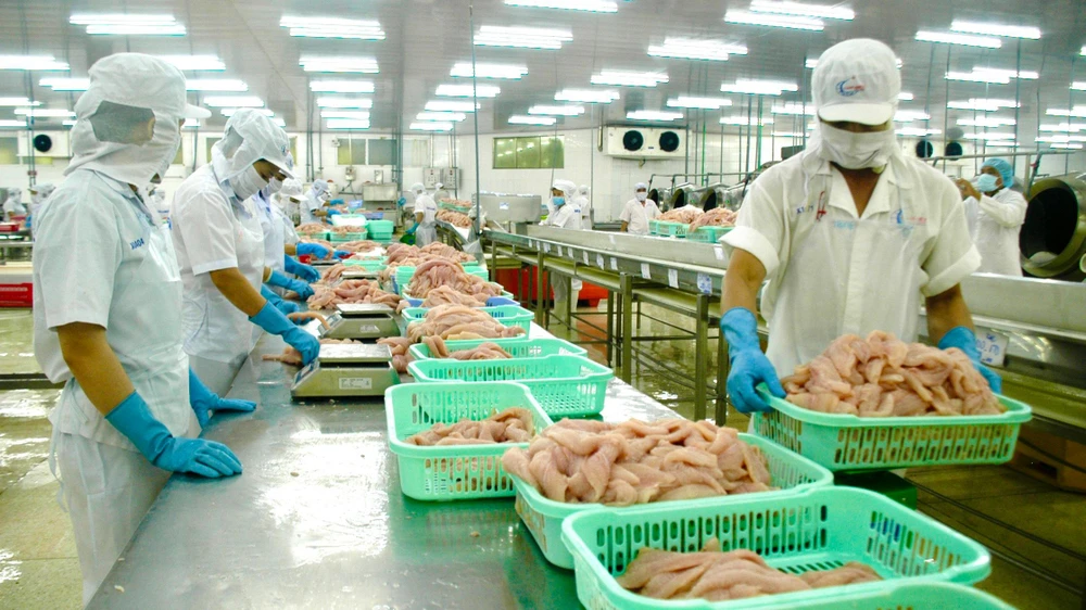 Chế biến cá tra