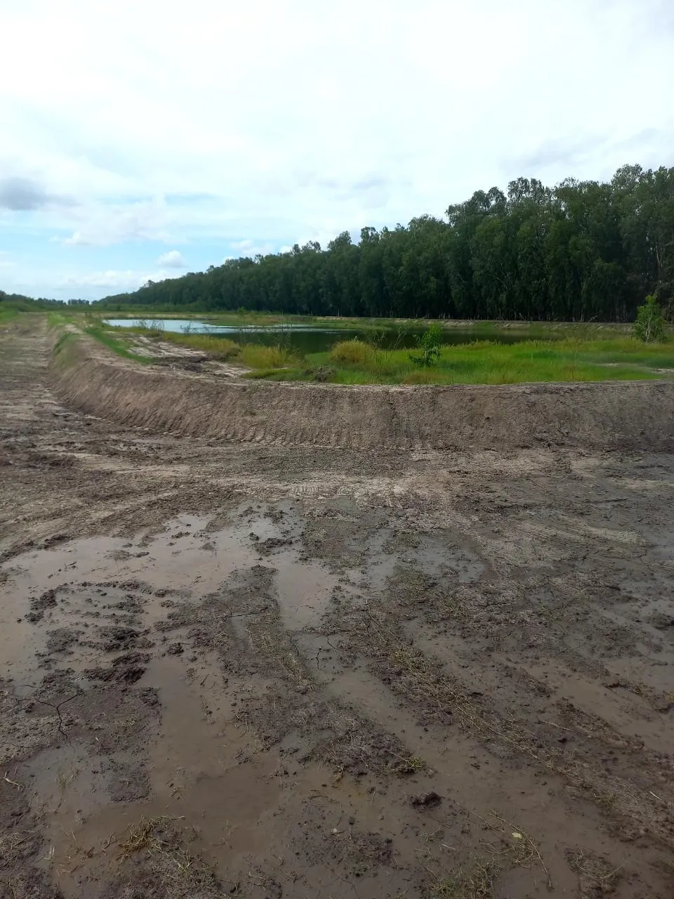 Dù không được đồng ý nhưng chủ đầu tư Điểm du lịch sinh thái Rừng tràm Trà Sư Công ty Cổ phần du lịch An Giang vẫn cải tạo đất để thi công các hạng mục công trình làm sân đua. Dù không được đồng ý nhưng chủ đầu tư Điểm du lịch sinh thái Rừng tràm Trà Sư Công ty Cổ phần du lịch An Giang vẫn cải tạo đất để thi công các hạng mục công trình làm sân đua.