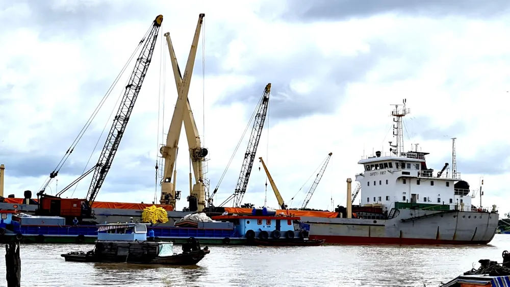 Hoạt động xuất khẩu tại An Giang.