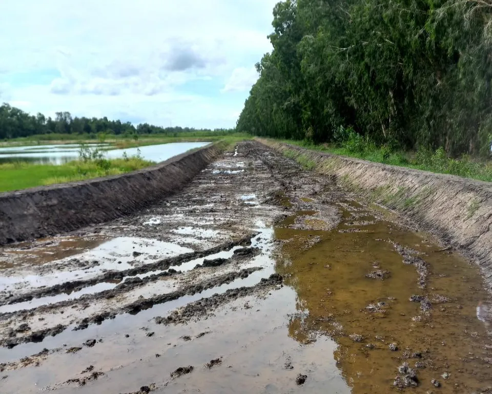 Sân đua bò Công ty An Giang Tourimex xây trái phép trên đất lúa. Ảnh: HD Sân đua bò Công ty An Giang Tourimex xây trái phép trên đất lúa. Ảnh: HD