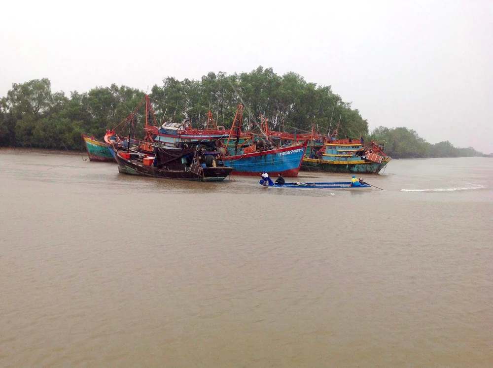 Khu neo đậu tàu cửa Định An, Trà Vinh