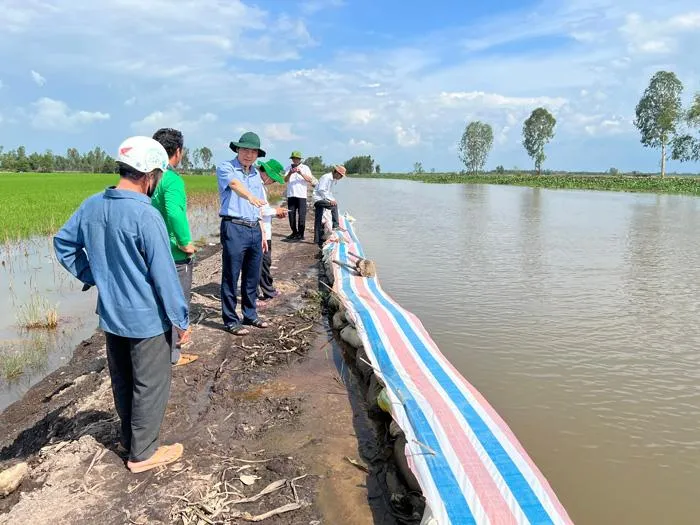 Chủ tịch Đồng Tháp, ông Phạm Thiện Nghĩa khảo sát tại đoạn đê ở huyện Tháp Mười có nguy cơ nước sông tràn vào. Ảnh: Gia Vi