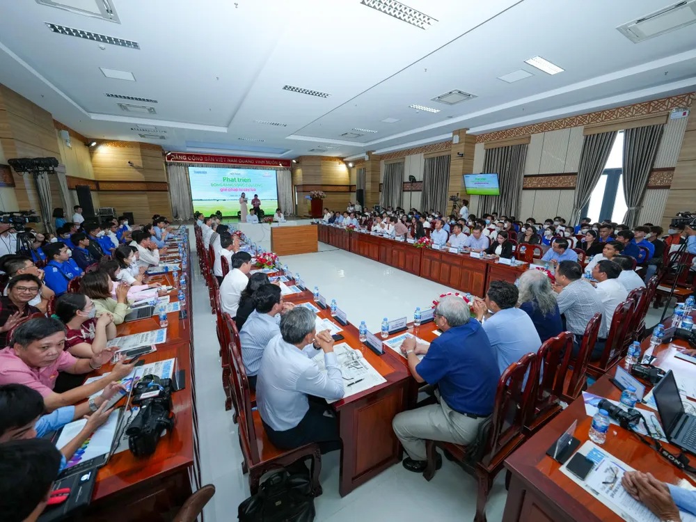 phát triển cây lúa phát triển đbscl giải pháp từ cây lúa