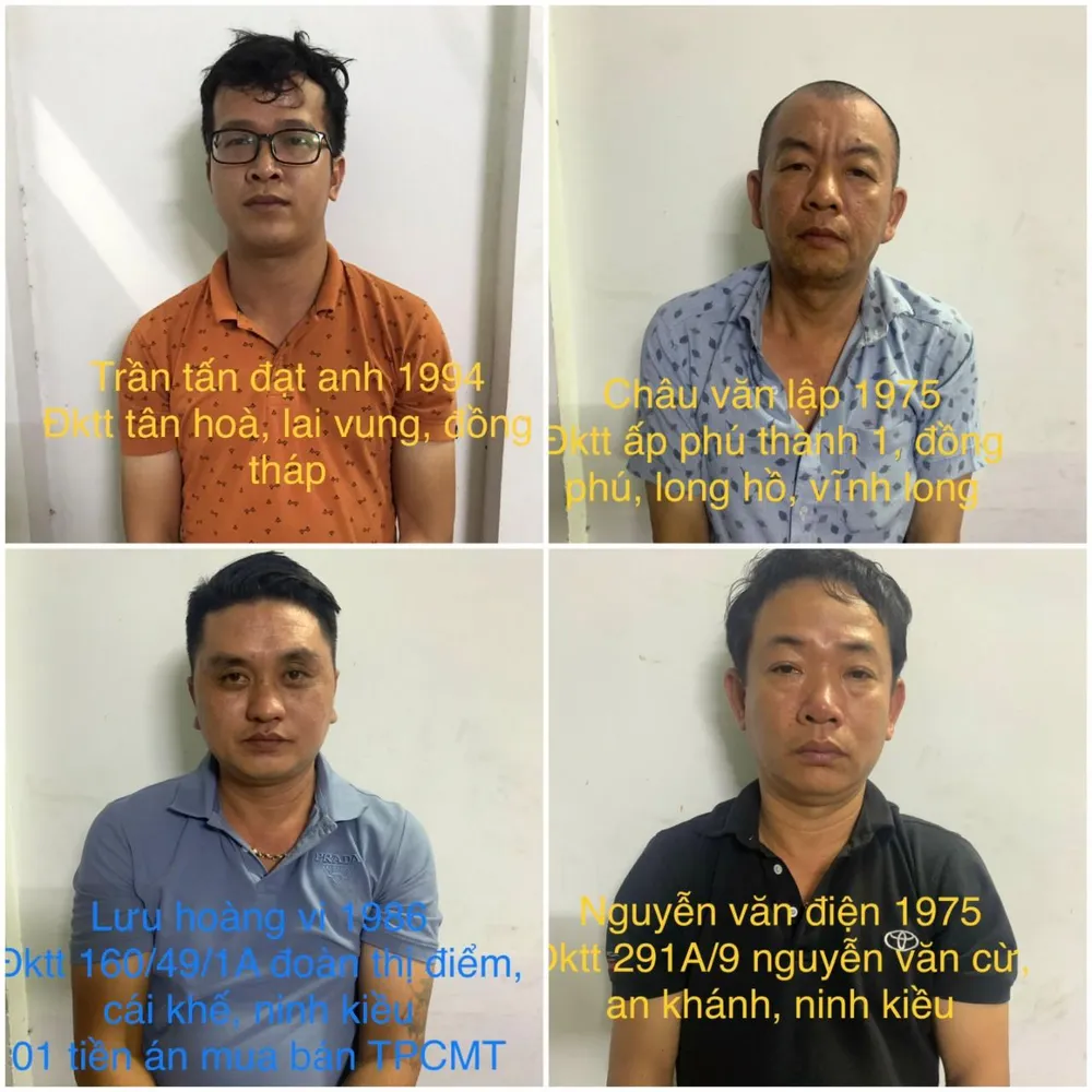 cá cược world cup 2022